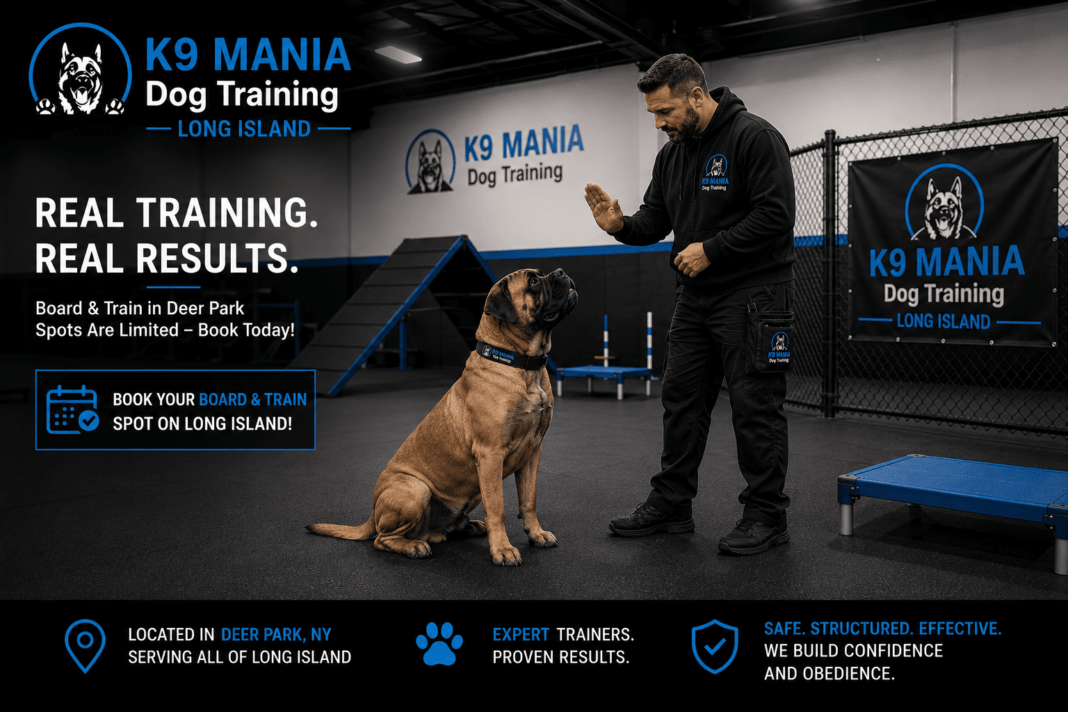 How Hard Are Bullmastiffs to Train? What New Owners Need to Know 5 K9 Mania board and train facility with a Bullmastiff during a structured training session