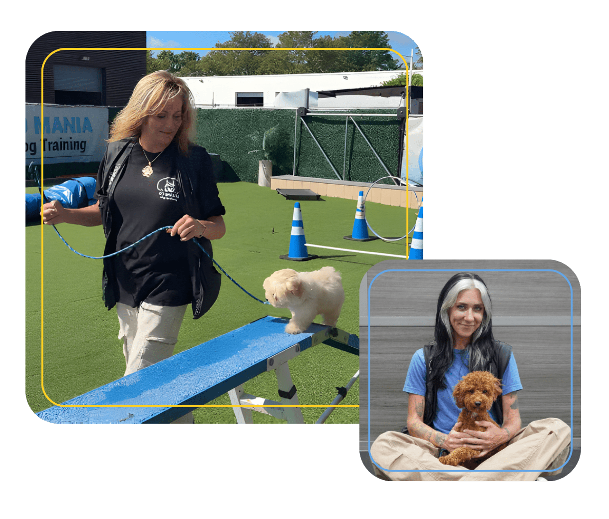 puppy training course