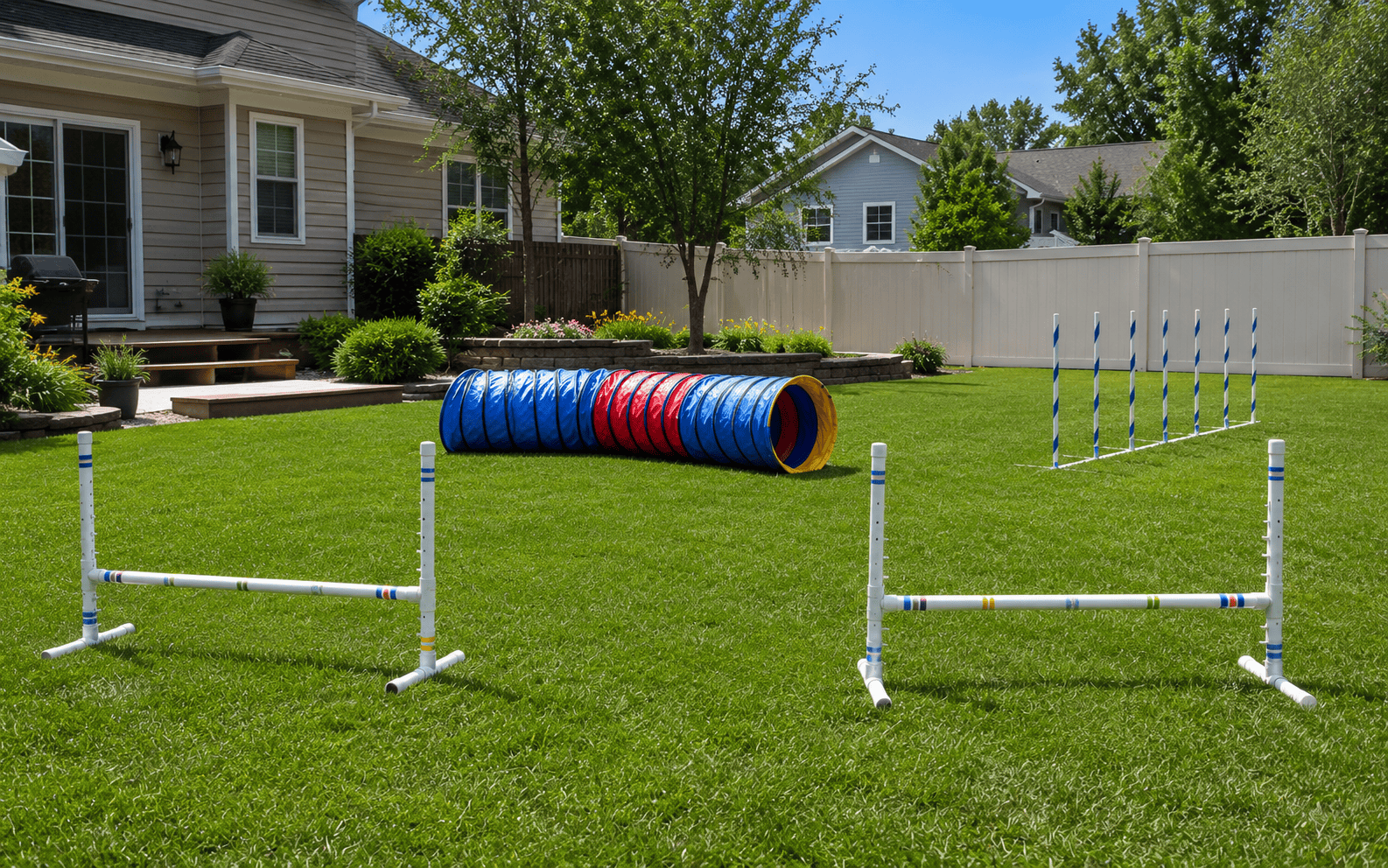 beginner agility equipment setup
