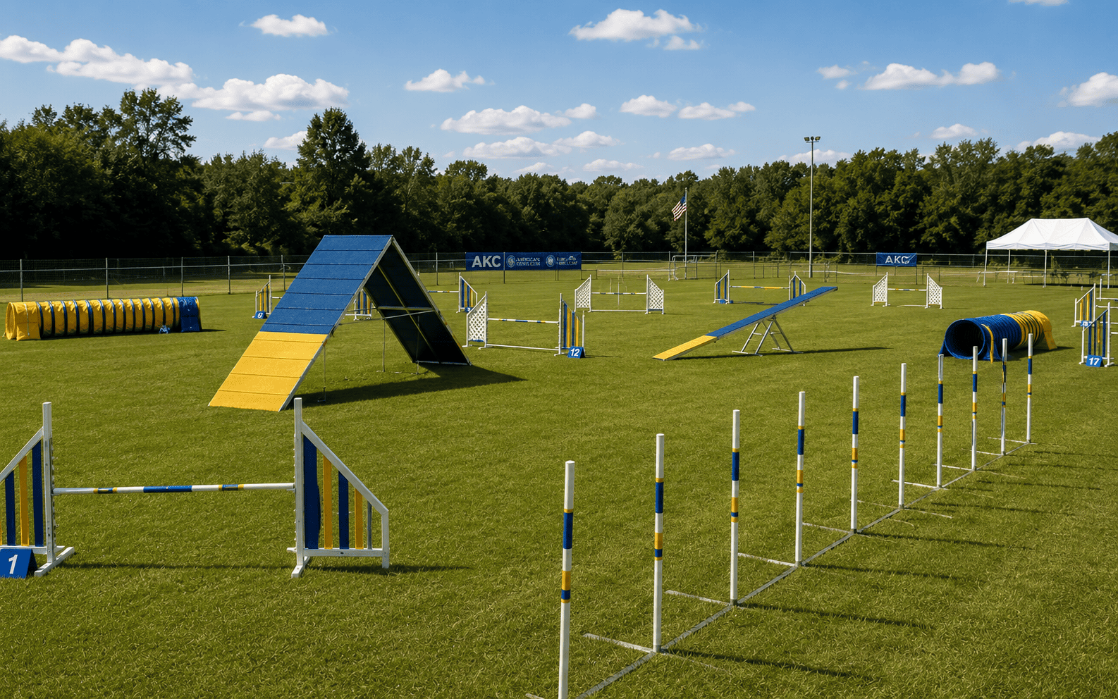 standard agility course