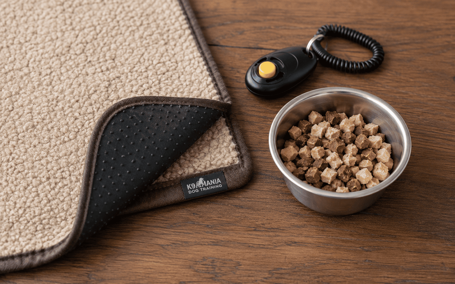 Teaching a Dog to Settle on a Mat: Steps, Tips, and Common Mistakes 2 mat training equipment and high value dog treats
