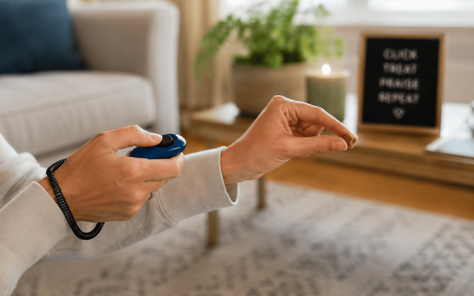 Dog Training Before Bringing Home a Puppy: What Smart Owners Do First 4 A person holds a clicker and treat in a cozy living room, possibly training their pet using positive methods.