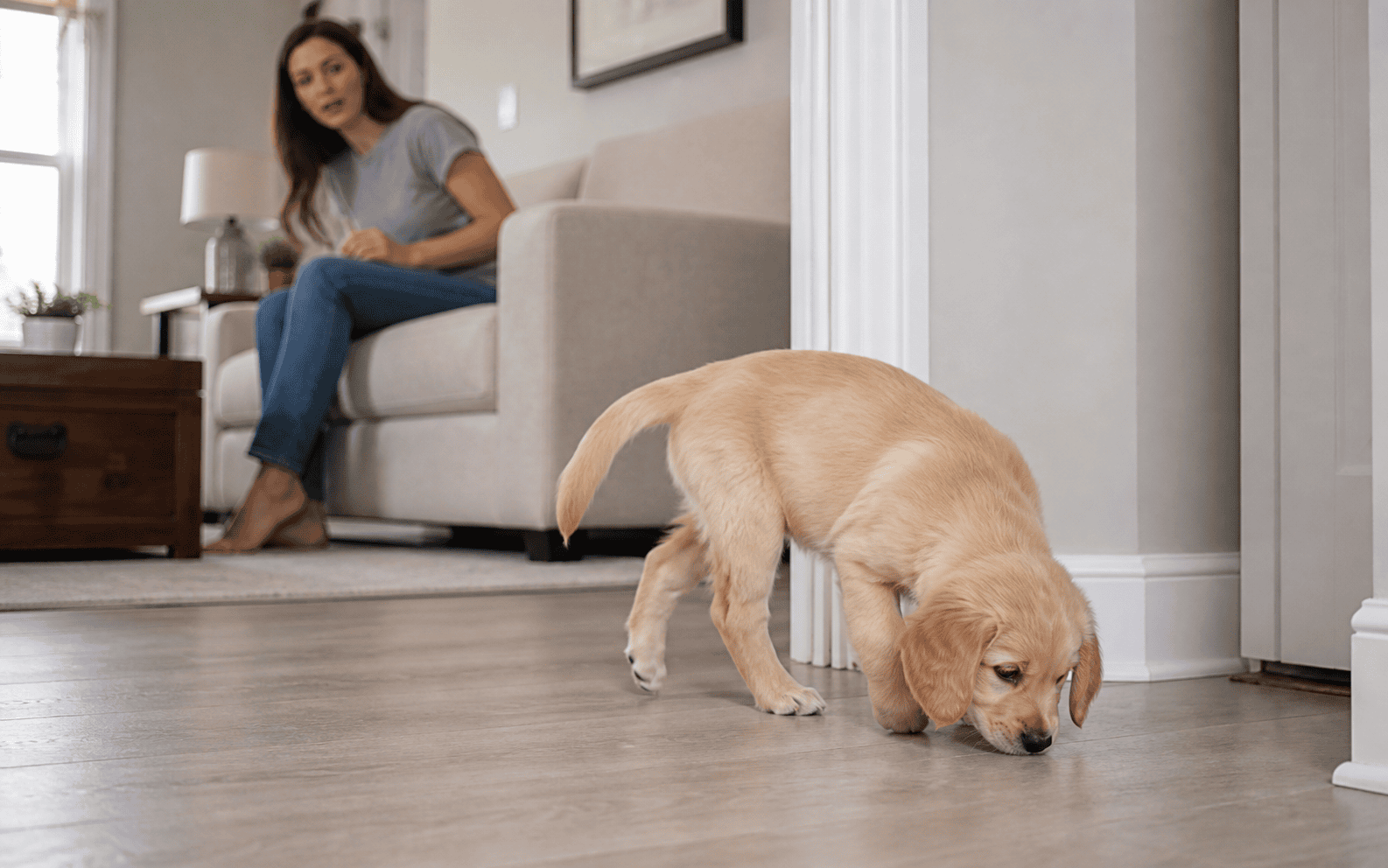 A golden puppy sniffs the floor as a woman on a beige couch watches in a cozy living room scene.