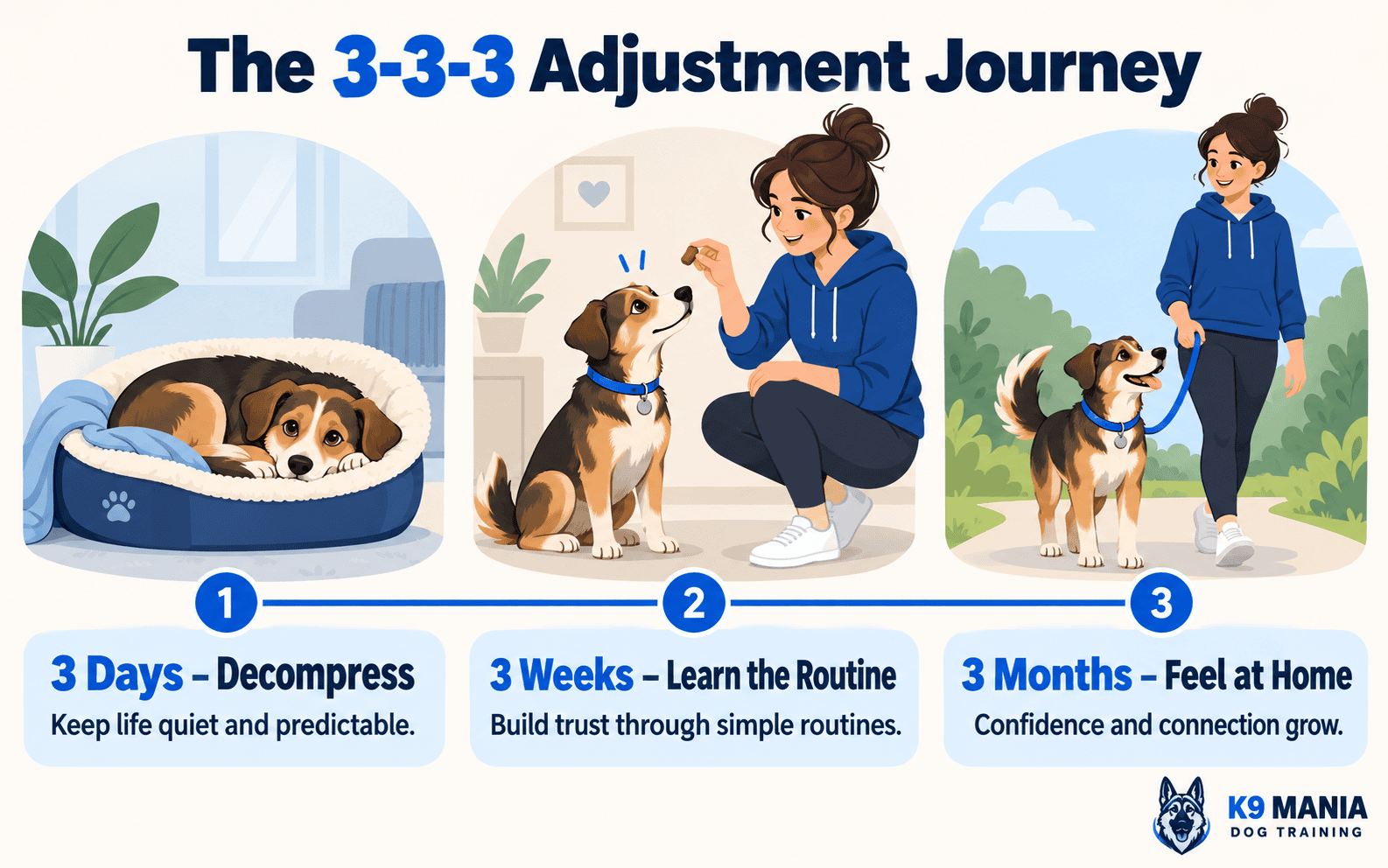 Infographic showing the 3-3-3 dog adjustment journey: decompressing, learning routines, and bonding.