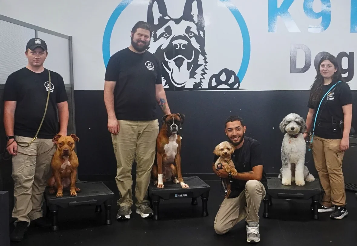Four trainers in branded black shirts stand with dogs on training platforms in a K9 facility.