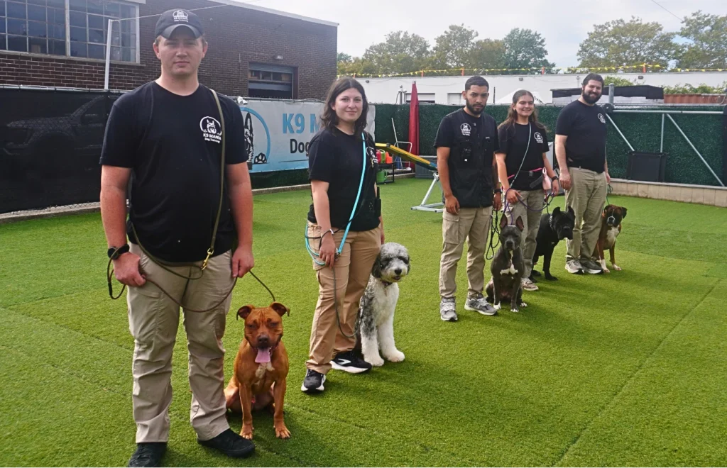 Contact Us 1 Four trainers stand with their dogs on a turf field; contact us to join our training sessions.