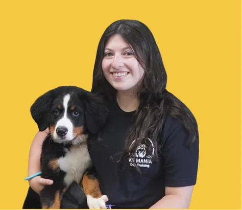 Our Certification 5 K9 Mania Dog Training dog trainer holding a dog